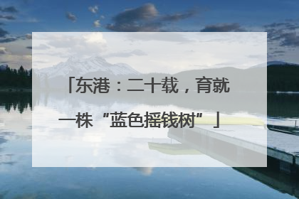 东港：二十载，育就一株“蓝色摇钱树”