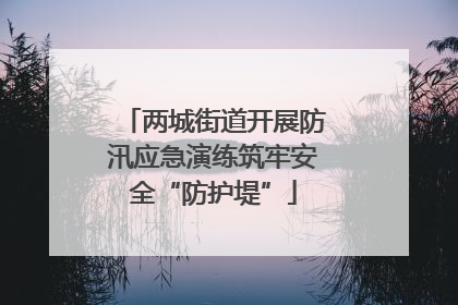 两城街道开展防汛应急演练筑牢安全“防护堤”