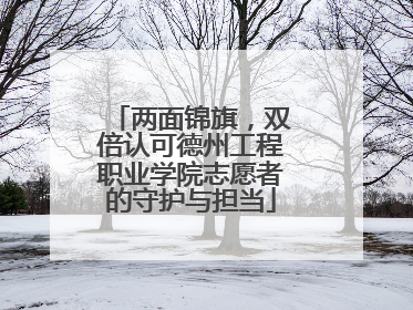 两面锦旗，双倍认可德州工程职业学院志愿者的守护与担当