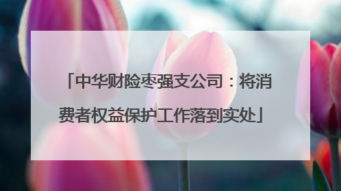 中华财险枣强支公司：将消费者权益保护工作落到实处