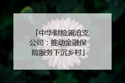 中华财险澜沧支公司：推动金融保险服务下沉乡村