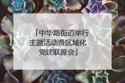 中华路街道举行主题活动暨区域化党建联席会