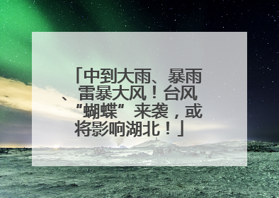 中到大雨、暴雨、雷暴大风！台风“蝴蝶”来袭，或将影响湖北！