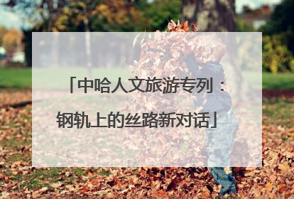 中哈人文旅游专列：钢轨上的丝路新对话