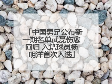 中国男足公布新一期名单武磊伤愈回归 入籍球员杨明洋首次入选