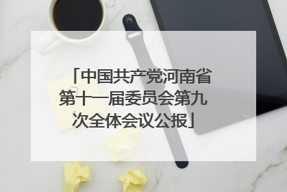中国共产党河南省第十一届委员会第九次全体会议公报