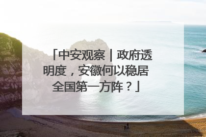 中安观察｜政府透明度，安徽何以稳居全国第一方阵？