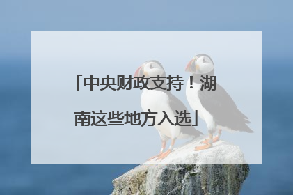 中央财政支持！湖南这些地方入选
