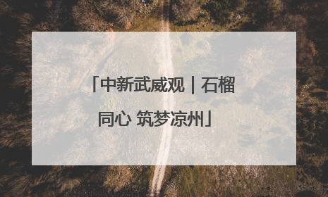 中新武威观｜石榴同心 筑梦凉州