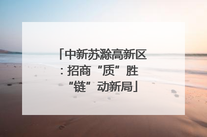 中新苏滁高新区：招商“质”胜 “链”动新局