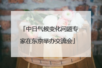 中日气候变化问题专家在东京举办交流会
