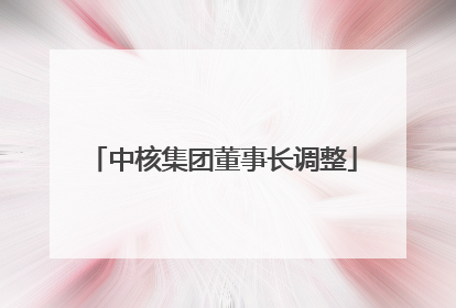 中核集团董事长调整