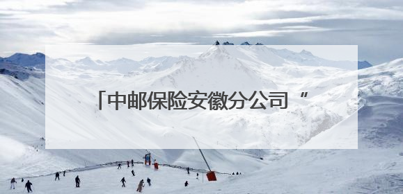 中邮保险安徽分公司“趣味画室”学生金融教育安全活动圆满落幕