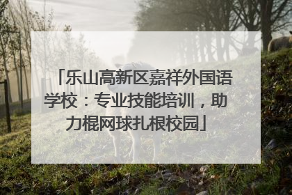 乐山高新区嘉祥外国语学校：专业技能培训，助力棍网球扎根校园