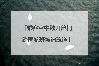 乘客空中欲开舱门 跨国航班被迫改道