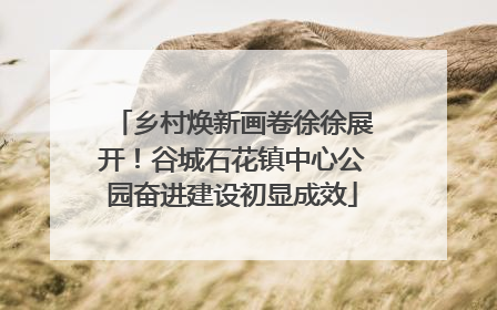 乡村焕新画卷徐徐展开！谷城石花镇中心公园奋进建设初显成效