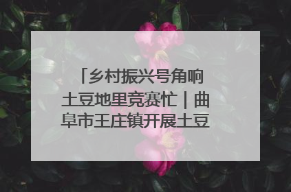 乡村振兴号角响 土豆地里竞赛忙｜曲阜市王庄镇开展土豆收获劳动竞赛