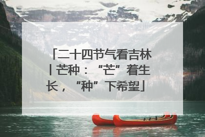 二十四节气看吉林丨芒种：“芒”着生长，“种”下希望