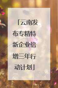 云南发布专精特新企业倍增三年行动计划