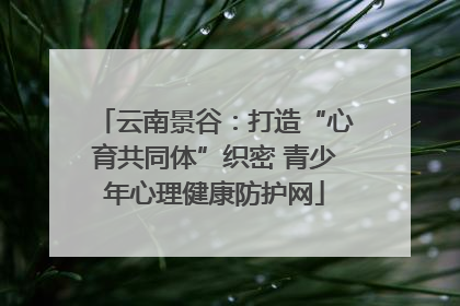 云南景谷：打造“心育共同体”织密 青少年心理健康防护网