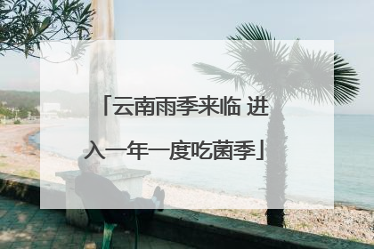 云南雨季来临 进入一年一度吃菌季