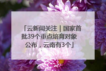 云新闻关注｜国家首批39个重点培育对象公布，云南有3个