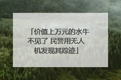 价值上万元的水牛不见了 民警用无人机发现其踪迹