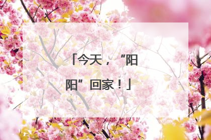 今天，“阳阳”回家！