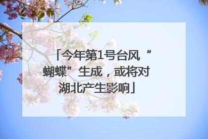 今年第1号台风“蝴蝶”生成，或将对湖北产生影响