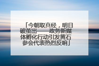 今朝取真经，明日破茧出——政务新媒体孵化行动引发黄石参会代表热烈反响
