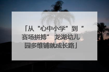 从“心中小学”到“赛场拼搏” 龙湖幼儿园多维铺就成长路
