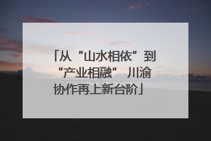 从“山水相依”到“产业相融” 川渝协作再上新台阶