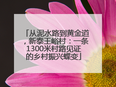 从泥水路到黄金道，新泰王峪村：一条1300米村路见证的乡村振兴蝶变