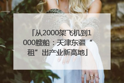 从2000架飞机到1000艘船：天津东疆“租”出产业新高地