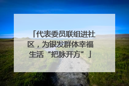 代表委员联组进社区，为银发群体幸福生活“把脉开方”