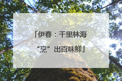 伊春：千里林海“烹”出百味鲜