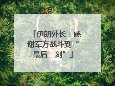 伊朗外长：感谢军方战斗到“最后一刻”