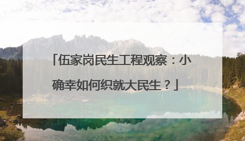 伍家岗民生工程观察：小确幸如何织就大民生？