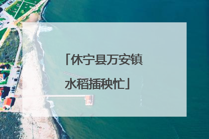 休宁县万安镇水稻插秧忙