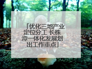 优化三地产业定位分工 长株潭一体化发展划出工作重点