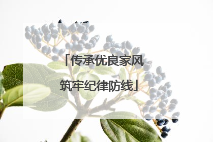 传承优良家风 筑牢纪律防线