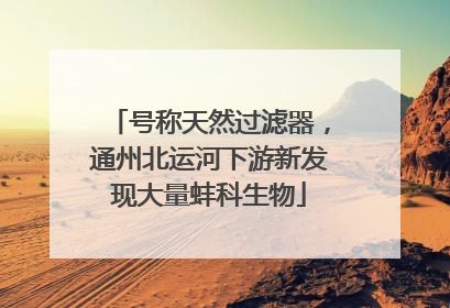 号称天然过滤器，通州北运河下游新发现大量蚌科生物
