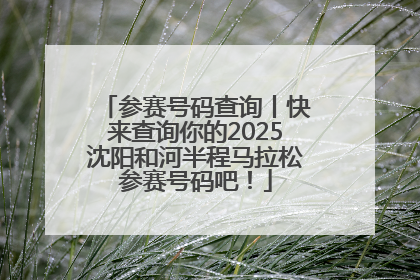 参赛号码查询丨快来查询你的2025沈阳和河半程马拉松参赛号码吧！