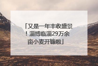 又是一年丰收盛景！淄博临淄29万余亩小麦开镰啦