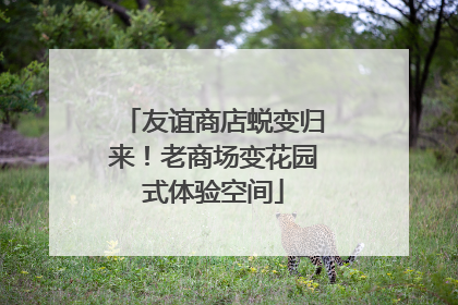 友谊商店蜕变归来！老商场变花园式体验空间