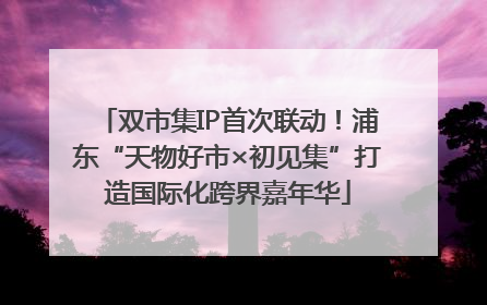 双市集IP首次联动！浦东“天物好市×初见集”打造国际化跨界嘉年华