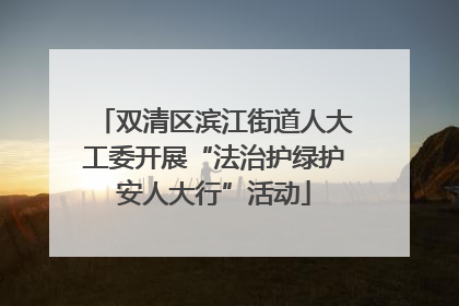双清区滨江街道人大工委开展“法治护绿护安人大行”活动