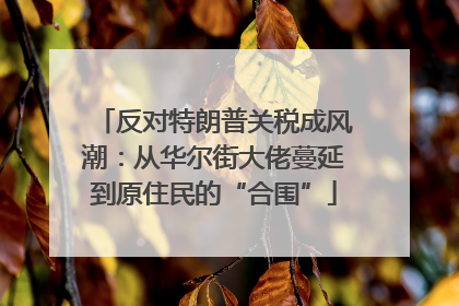 反对特朗普关税成风潮：从华尔街大佬蔓延到原住民的“合围”