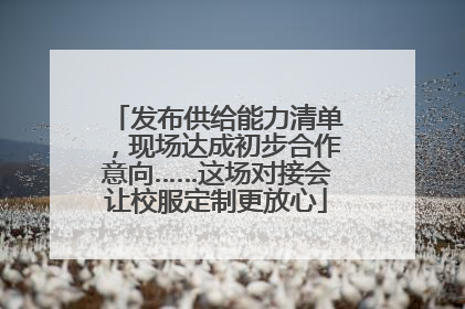 发布供给能力清单，现场达成初步合作意向……这场对接会让校服定制更放心