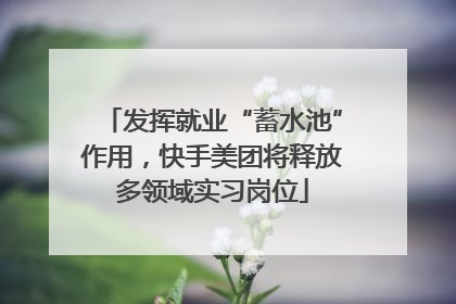 发挥就业“蓄水池”作用，快手美团将释放多领域实习岗位